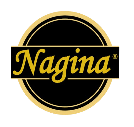 Nagina Logo